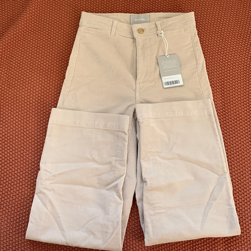 Moleskin (corduroy) pants